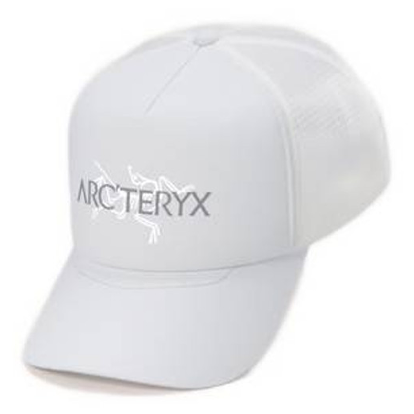 Bird Word Trucker Hat