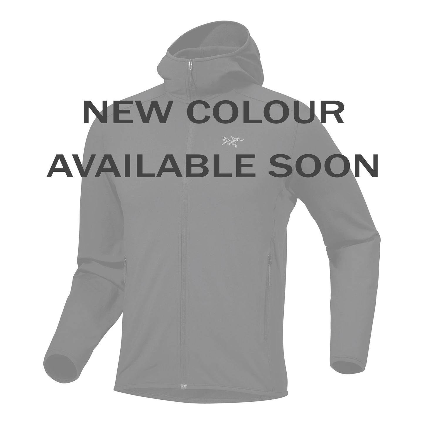 Kyanite LT Hoody Women's