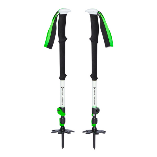 Expedition 3 Ski Poles