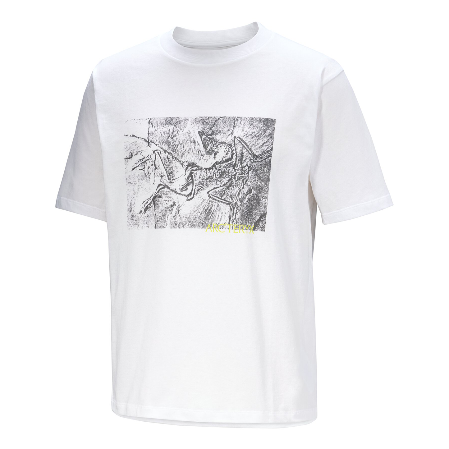 Kragg Cotton Lithographica SS Men's