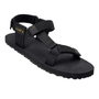 Black / 41