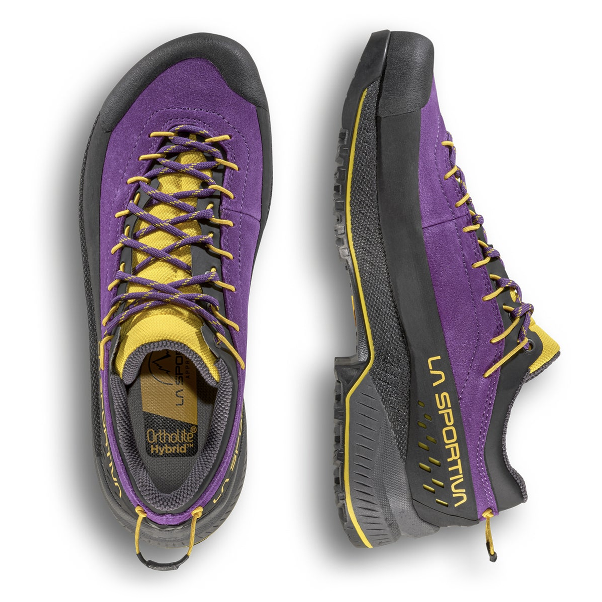 Purple / Yellow