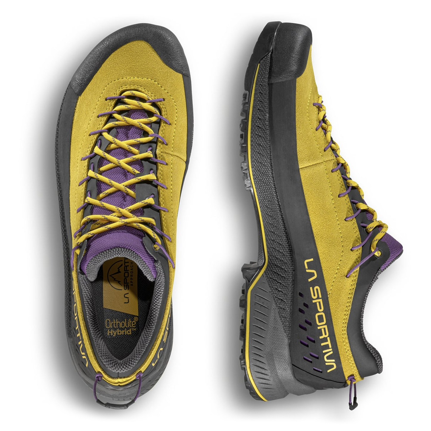 Yellow / Purple