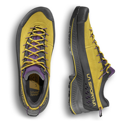Yellow / Purple
