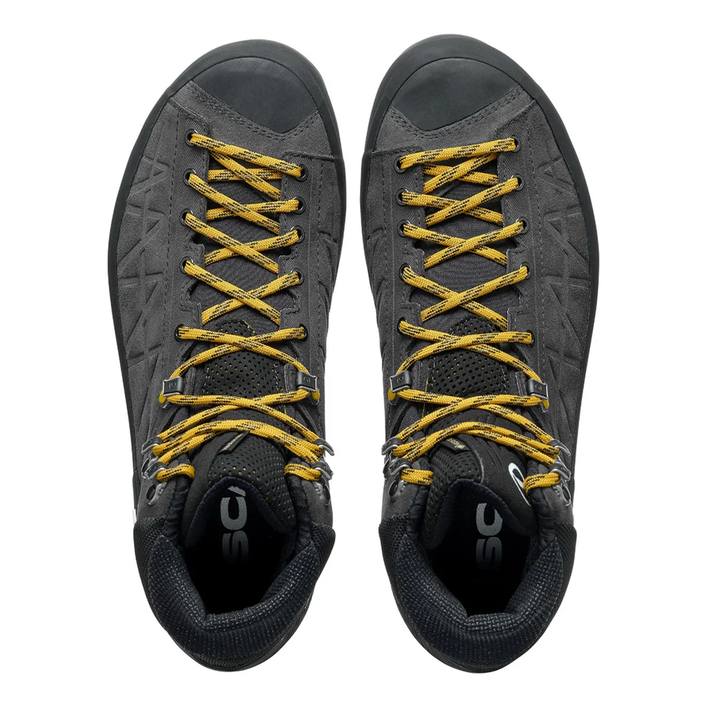 Zodiac Tech GTX Men's
